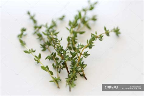 Fresh Thyme sprigs — close ups, clean eating - Stock Photo | #150234536