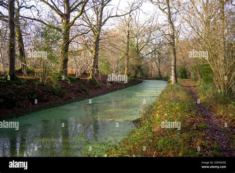 Canal towpath wildlife hi-res stock photography and images - Alamy