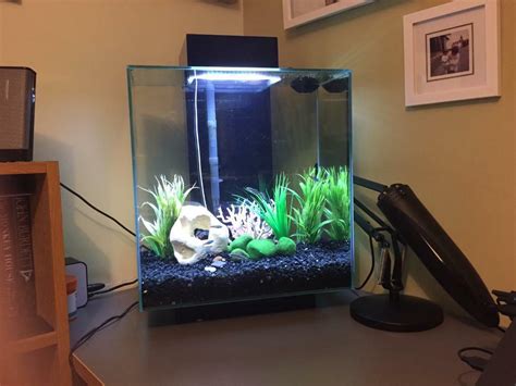 Fluval edge fish tank | in Burnley, Lancashire | Gumtree