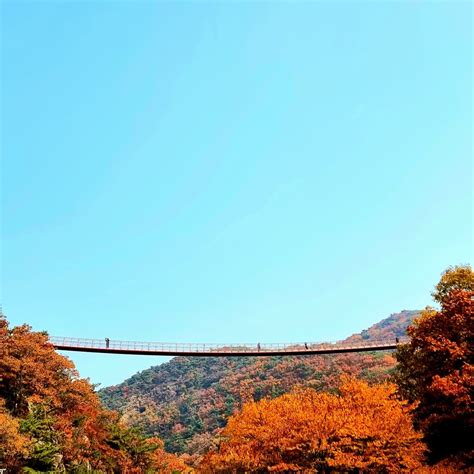 Seoul City & Seasonal Hot Attractions One Day Tour – Lecirt