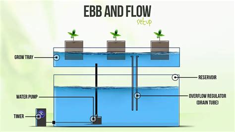 Ebb And Flow Hydroponics System Setup Guide