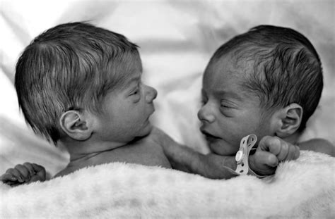 Fraternal & Identical Twins Baby: 6 Truths That Could Change How You ...