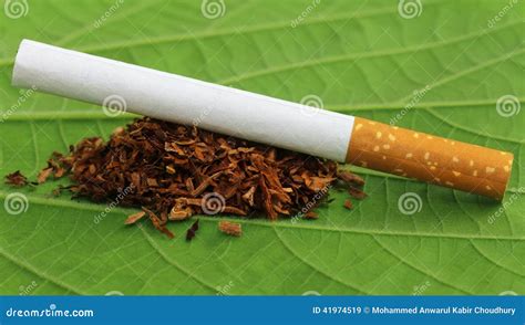 Dried Tobacco Leaves With Cigarette Stock Image - Image: 41974519