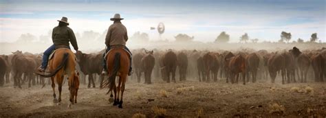 Sandy McLean The Outback Artist: DROUGHT........