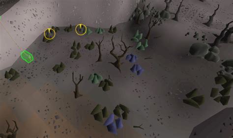 How Do You Get To Fossil Island in OSRS? – FandomSpot