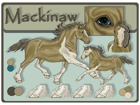 Mackinaw Reference - (Breeding Open) by Caralel on DeviantArt