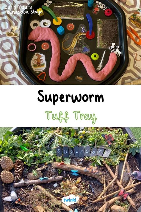 Superworm Tuff Tray Ideas - 2024 | 지렁이