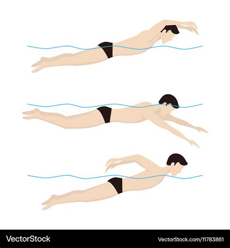 Swimming butterfly style Royalty Free Vector Image