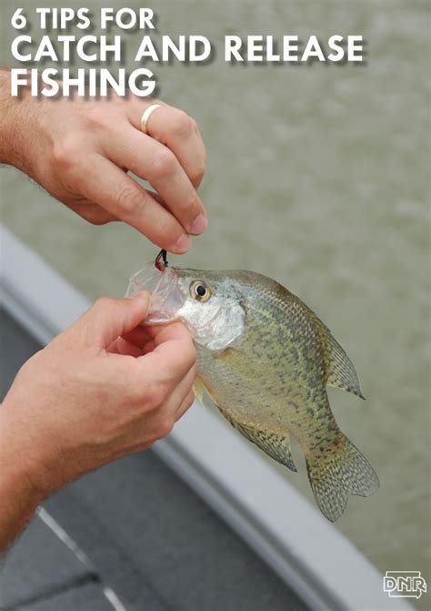 6 Tips for Catch and Release Fishing - DNR News Releases