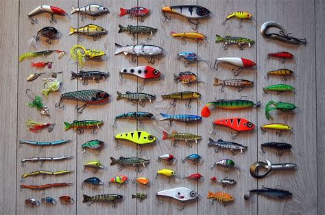 5 Different Types of Fishing Lures and Tips for Choosing the Right One