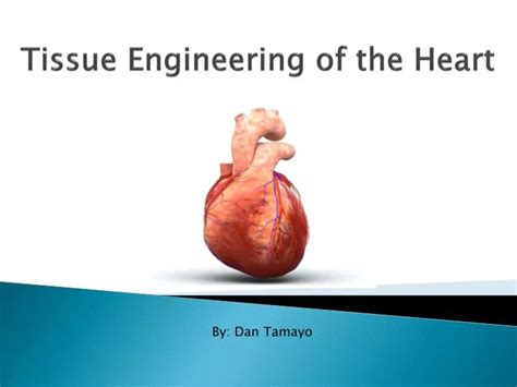 PPT - Tissue Engineering of the Heart PowerPoint Presentation, free ...