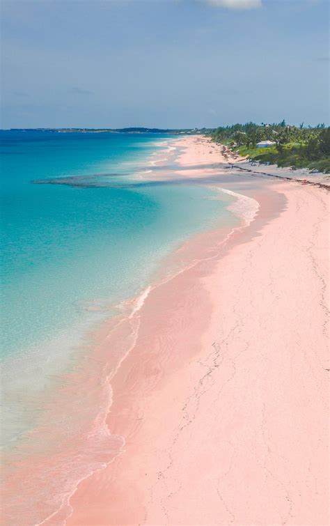 The most beautiful pink sand beaches to add to your travel bucket list