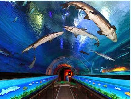 Aquarium of Genoa in Italy ~ Traveling the world