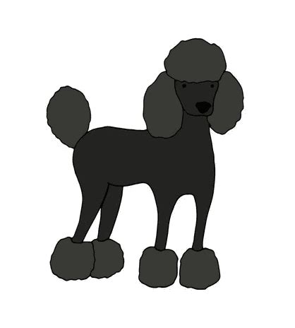 Free Poodle Clipart Download - ClipartLib