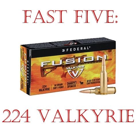 Fast Five: Best 224 Valkyrie Rifles | The Warrior Cartridge