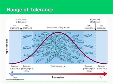 PPT - Ecological Terms PowerPoint Presentation, free download - ID:5698169