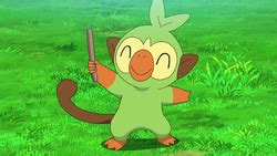 Goh's Grookey - Bulbapedia, the community-driven Pokémon encyclopedia