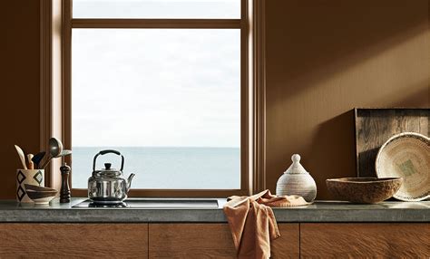 12127 EARTHY BROWN - Interior paint colour