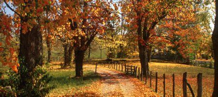 Visit West Virginia for Peak Foliage Season | Foliage.org