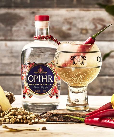 The 25 Best Gin Brands In The World