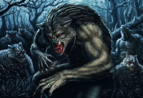 720P free download | Werewolf Pack, fantasy, werewolves, pack, woods, HD wallpaper | Peakpx