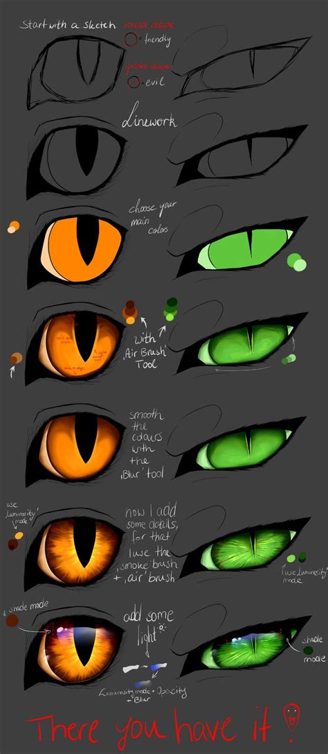 cat face anatomy - Google Search in 2020 | Cat drawing tutorial, Cat eyes drawing, Eye painting