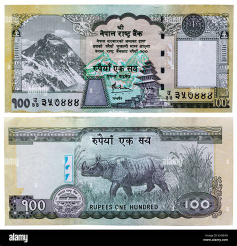 100 rupees banknote, Mount Everest and rhinoceros, Nepal, 2008 Stock Photo - Alamy