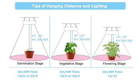 Led light height for seedlings - Seedling - I Love Growing Marijuana Forum