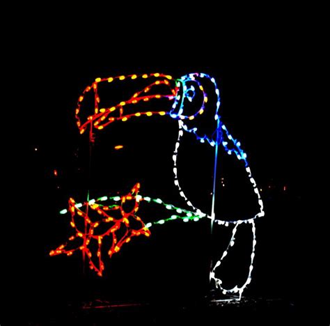 Zoo lights 3 | Zoo lights, Neon signs, Washington dc