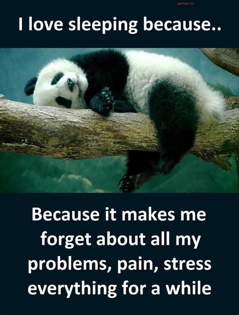 🔥 [20+] Panda Quotes Wallpapers | WallpaperSafari