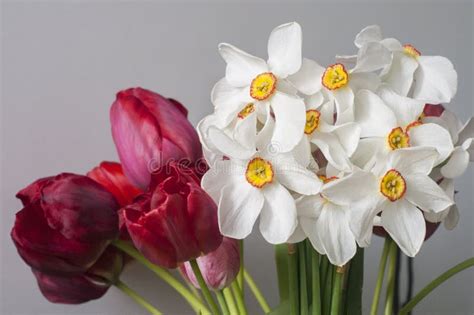 Bouquet of Daffodils and Tulips Stock Photo - Image of white, spring ...