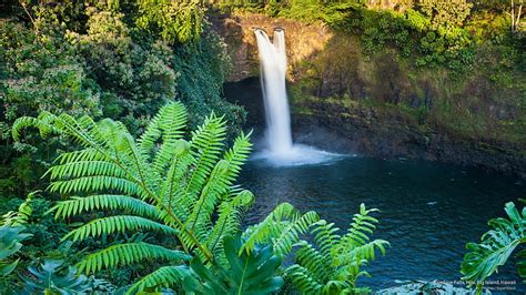 HD wallpaper: Rainbow Falls, Hilo, Big Island, Hawaii, Waterfalls | Wallpaper Flare