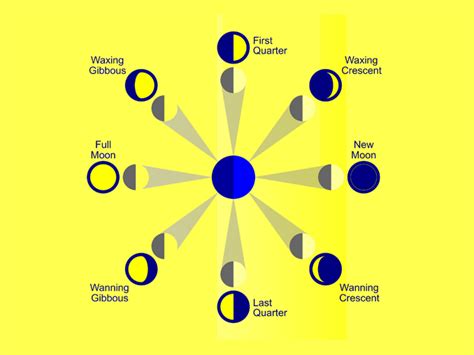 What Are the 8 Major Phases of the Moon? - Earth How