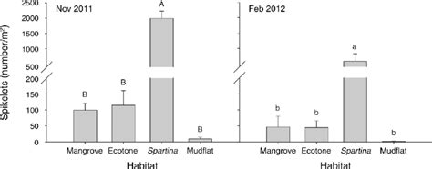 The number of cordgrass Spartina alterniflora seeds (spikelets) in... | Download Scientific Diagram