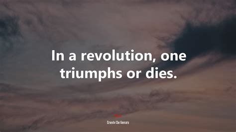 Che Guevara Quotes On Love And Revolution