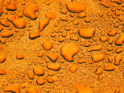 Download free photo of Orange,rainfall,rain,liquid,liquids - from needpix.com