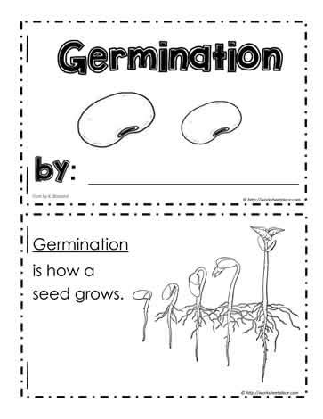 Germination Booklet Worksheets