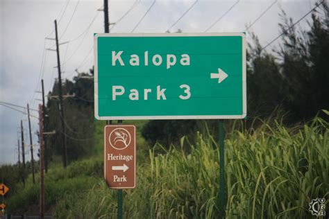 Kalopa State Park in Honokaa, Big Island, Hawaii | Hawaiian Beach Rentals