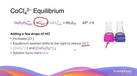 Cobalt Chloride Equilibrium // HSC Chemistry - YouTube