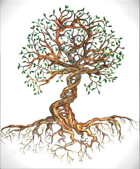 Tree Drawing - Dna Tree Of Life by Joanna Aud | Tree of life art, Tree of life artwork, Dna tree