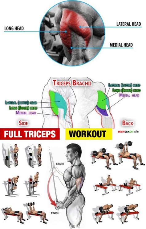 Pin on Workout Routine