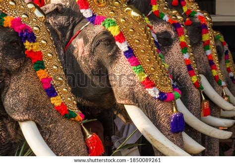 6,460 Elephant In Temple Festival Images, Stock Photos & Vectors | Shutterstock