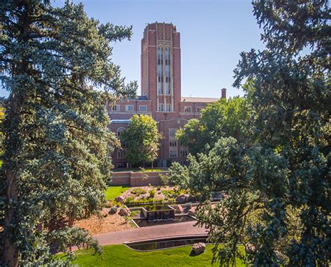 University of Denver Announces 2021 Faculty Awards | University of Denver