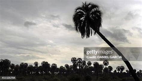 70 El Palmar National Park Stock Photos, High-Res Pictures, and Images - Getty Images