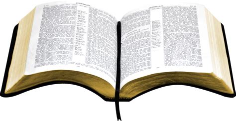 open bible PNG