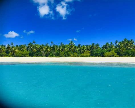 Things To Do in Tonga: Islands & Beaches Travel Guide | Desert Island Survival