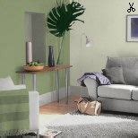 Jungle fever (green from Dulux) | Dulux, Paint color chart, Room colors