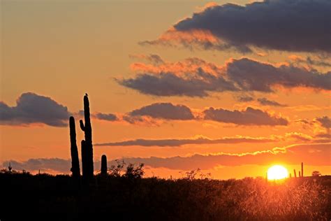 Sunset at Saguaro | Saguaro National Park, East | Jonathan Johannsen | Flickr