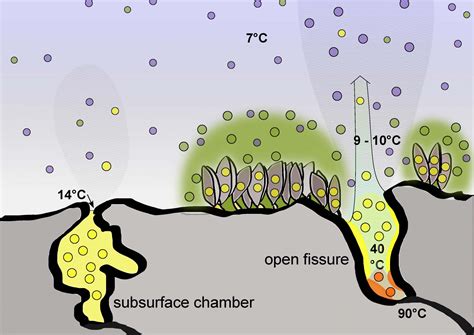 Hydrothermal vent ecology