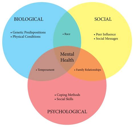 Biopsychosocial Model Of Health